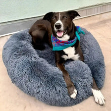 Ladda upp bild till gallerivisning, MrFluffyFriend® - Ångestlindrande hundbädd