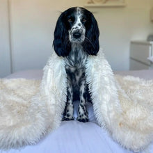 Ladda upp bild till gallerivisning, MrFluffyFriend® - Fluffig Filt för husdjur