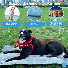 Ladda upp bild till gallerivisning, MrFluffyFriend® - Kylmatta för hund