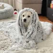 Ladda upp bild till gallerivisning, MrFluffyFriend® - Fluffig Filt för husdjur