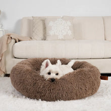 Ladda upp bild till gallerivisning, Hund som chillar på en fluffig brun bädd
