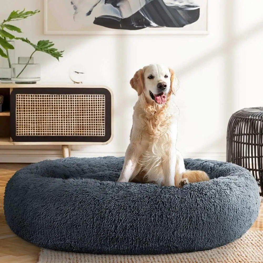 Hund som ligger på en fluffig mörkgrå bädd