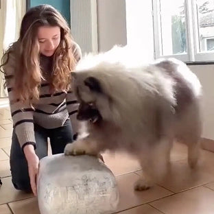 Scr 20250606 hrds mff e52463af ddde 4160 9cf0 806755d9f84f 1