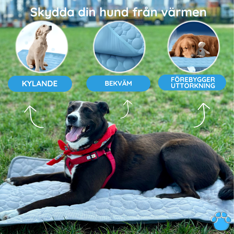 MrFluffyFriend® - Kylmatta för hund