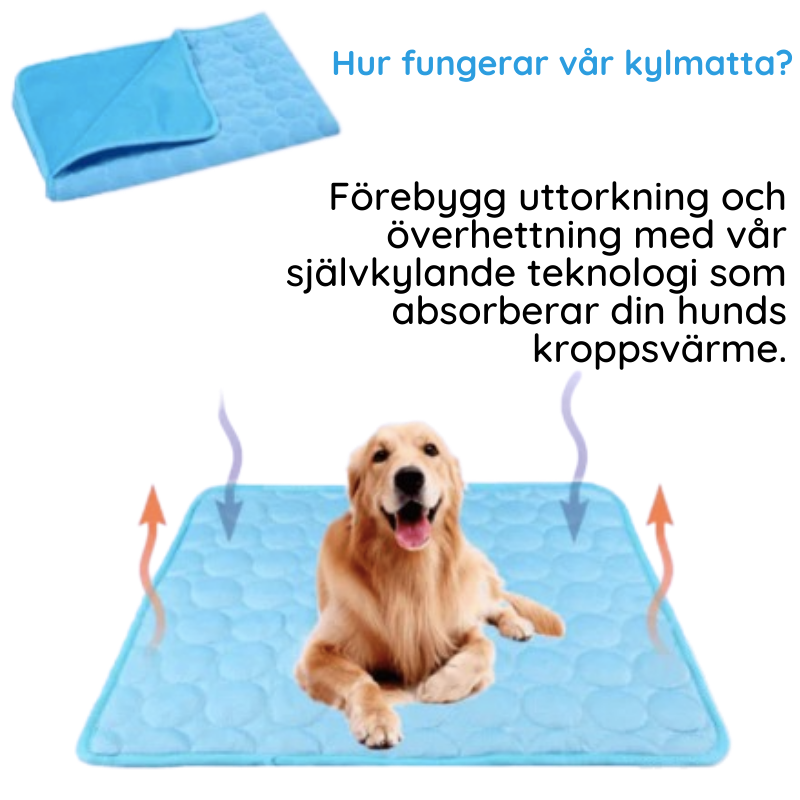MrFluffyFriend® - Kylmatta för hund