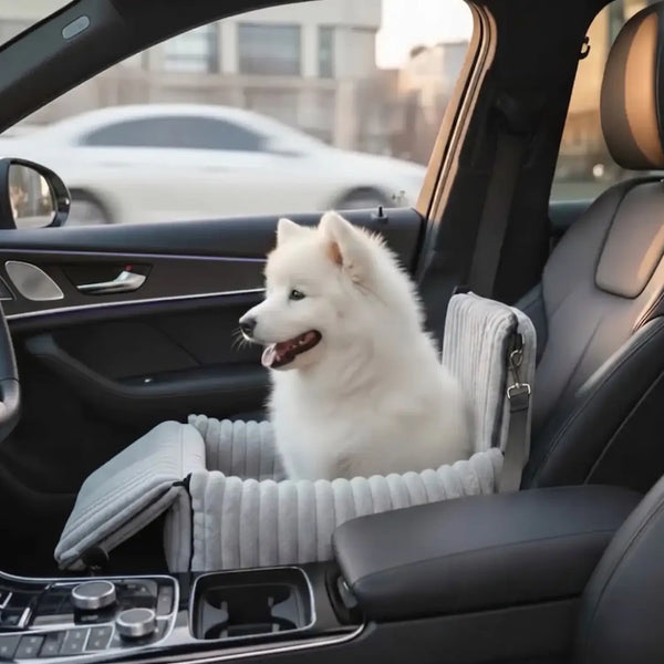 Gör varje bilresa säker och bekväm för din hund