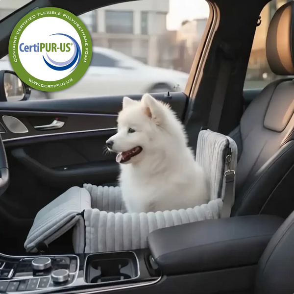 Gör varje bilresa säker och bekväm för din hund